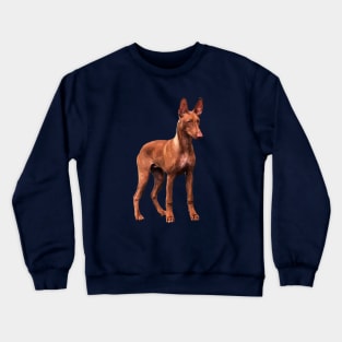 Pharaoh Hound Dog Crewneck Sweatshirt